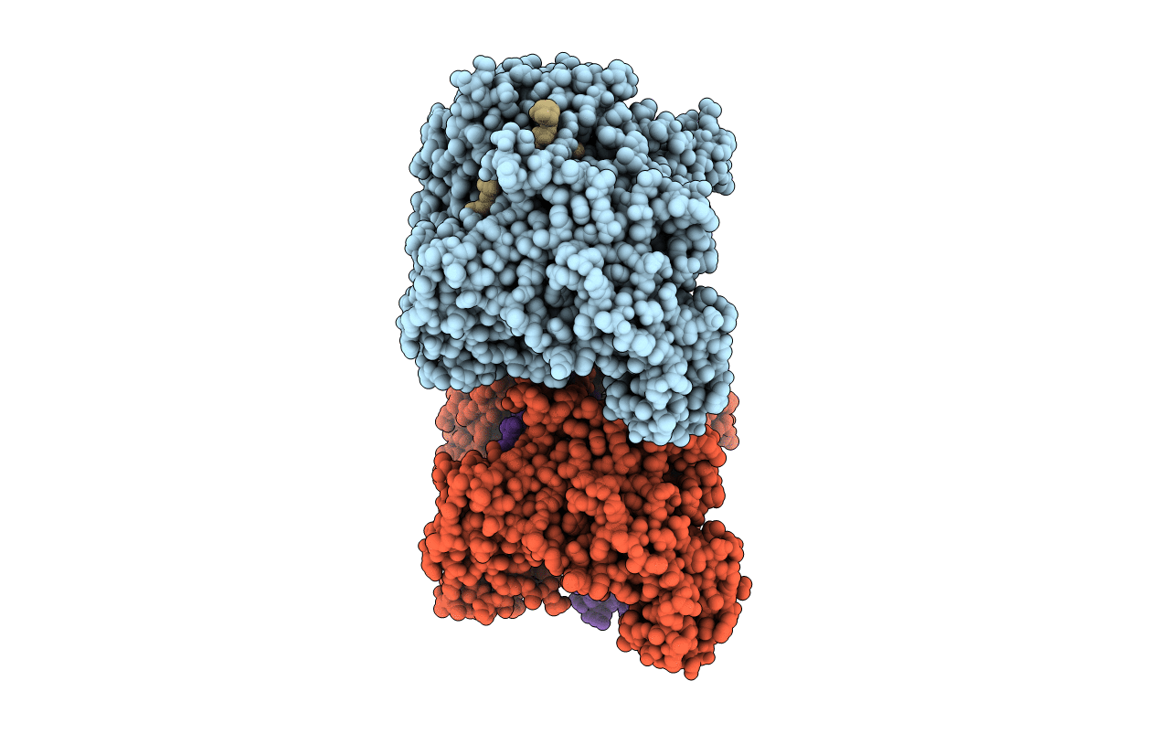 6D95 image