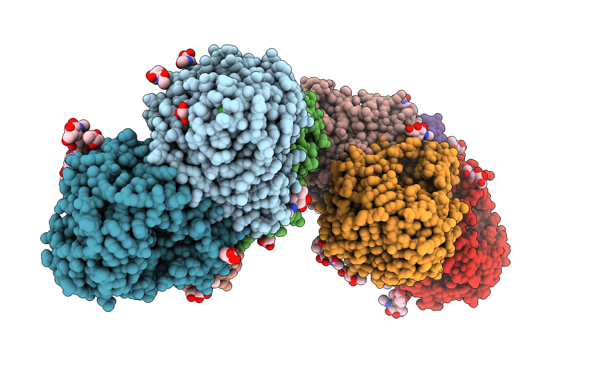 6D96 image