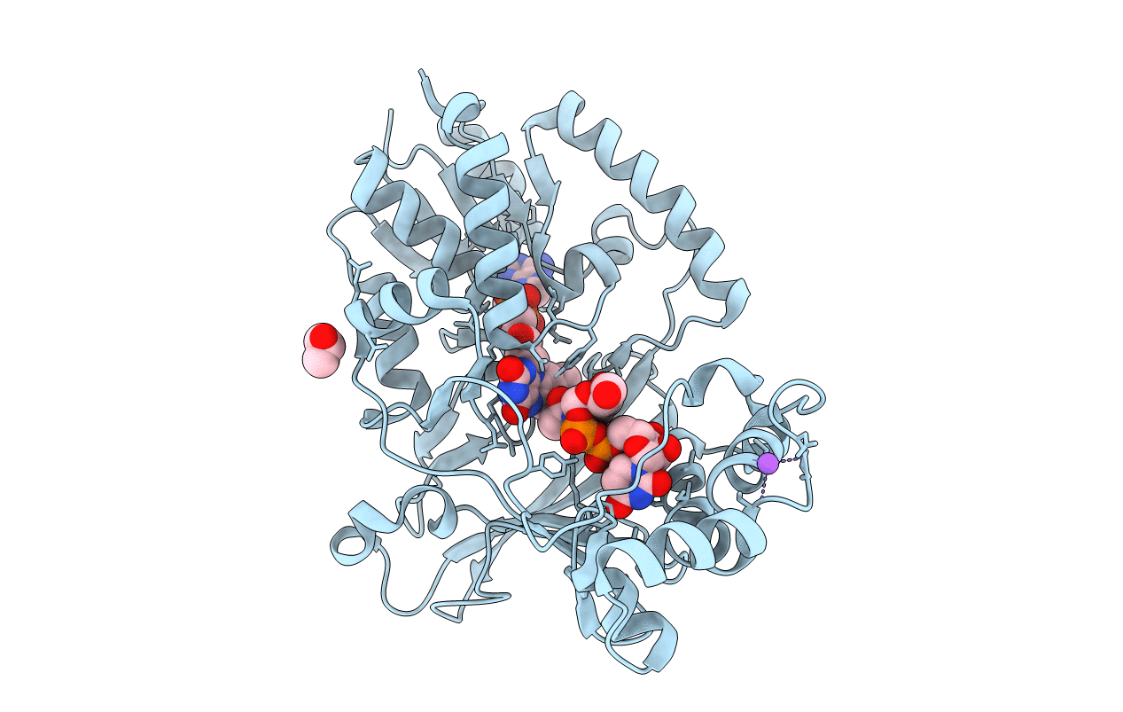 6D9A image