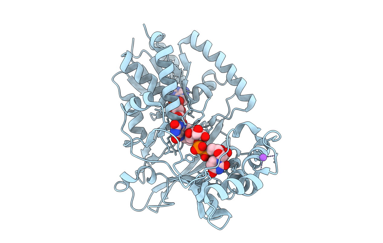 6D9C image