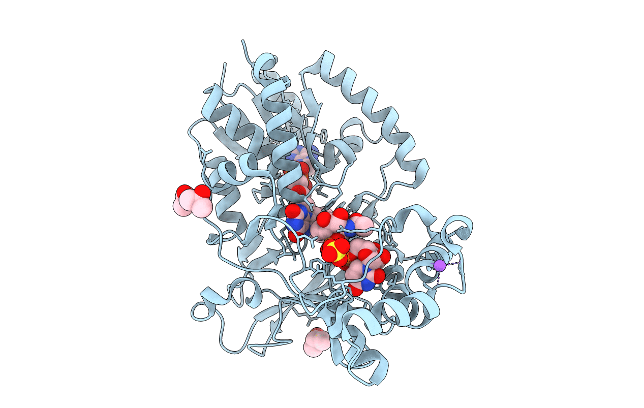 6D9E image