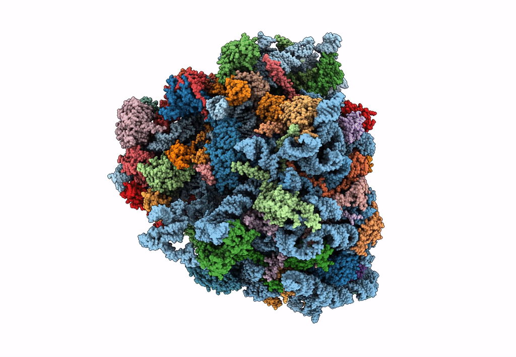 6D9J image