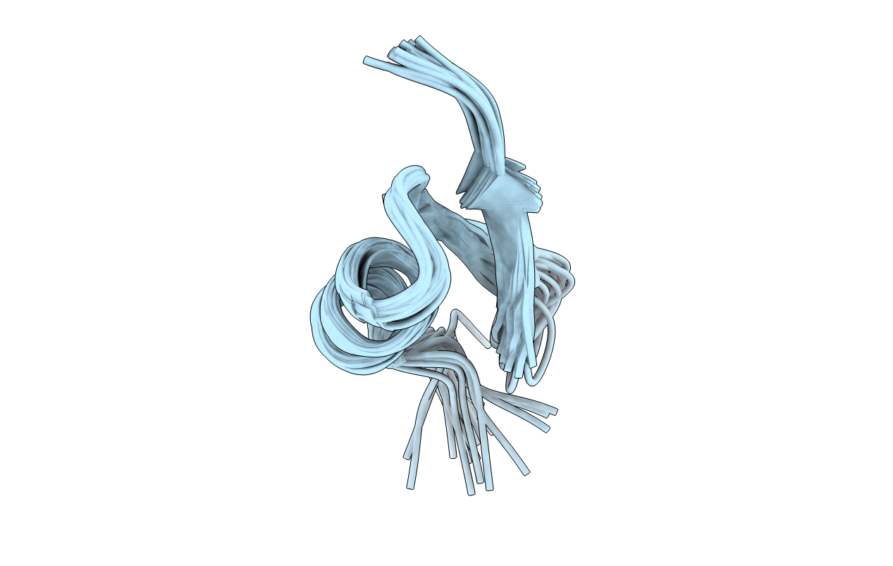 6D9P image