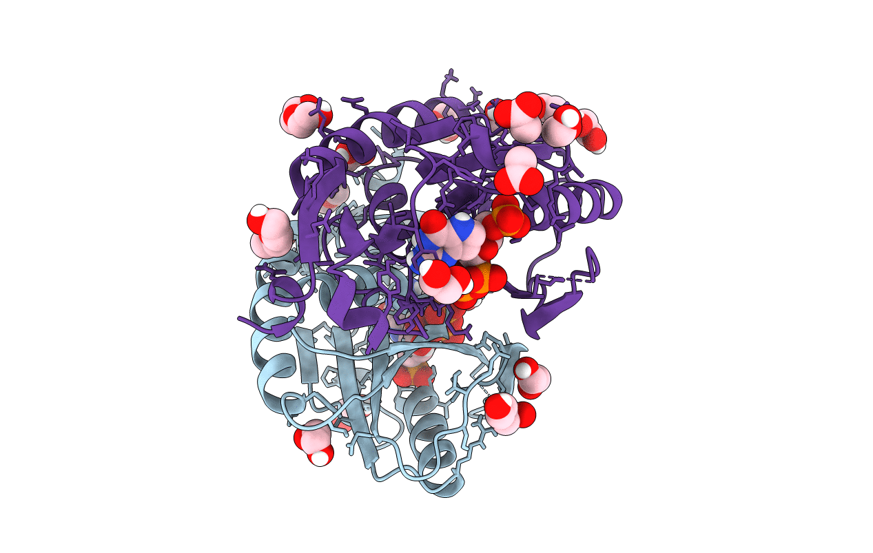 6D9R image