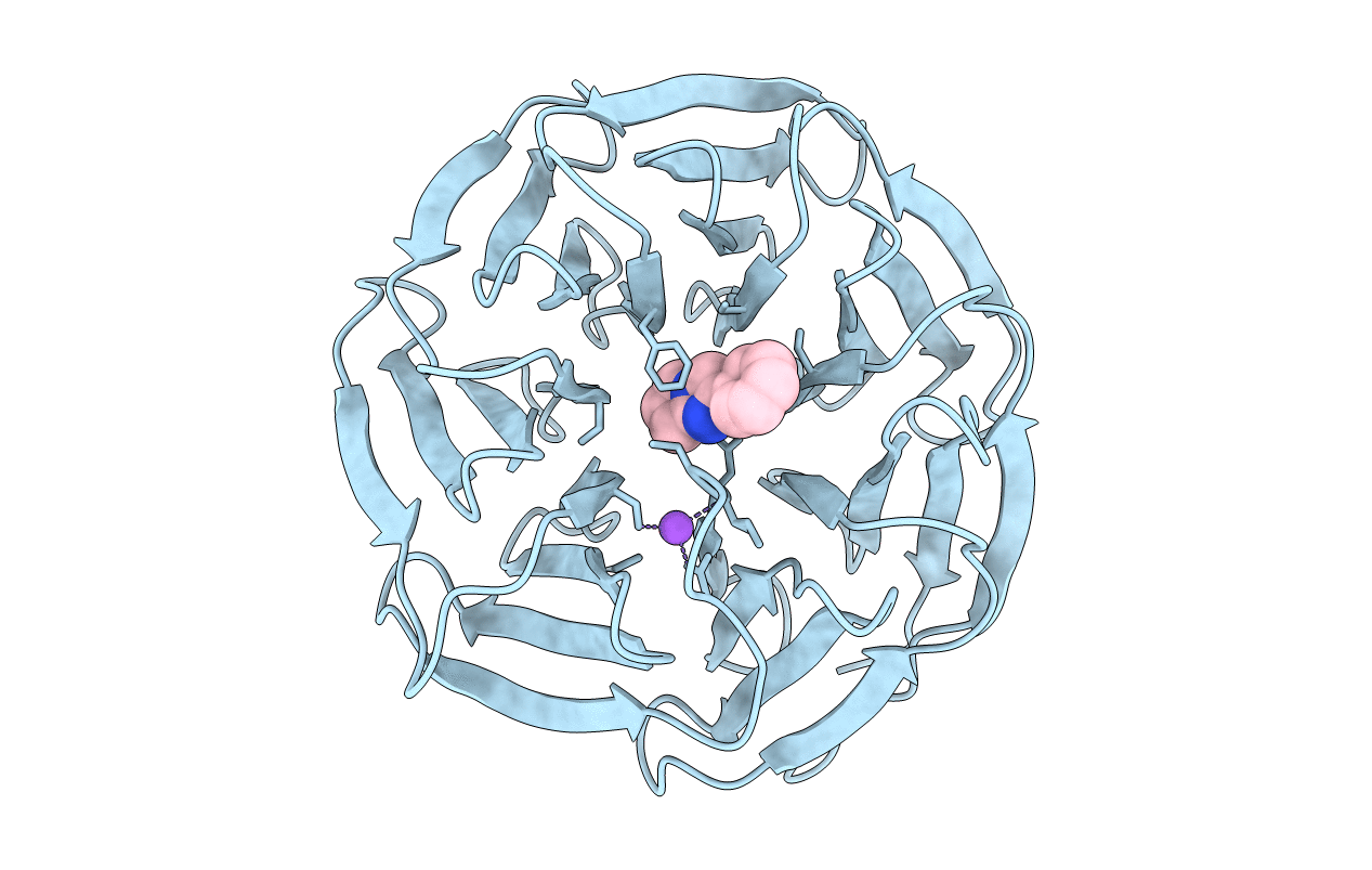 6D9X image