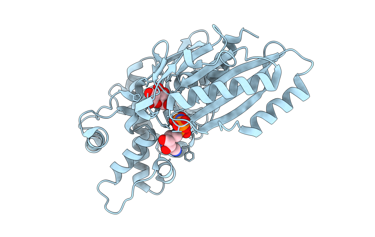 6DA0 image