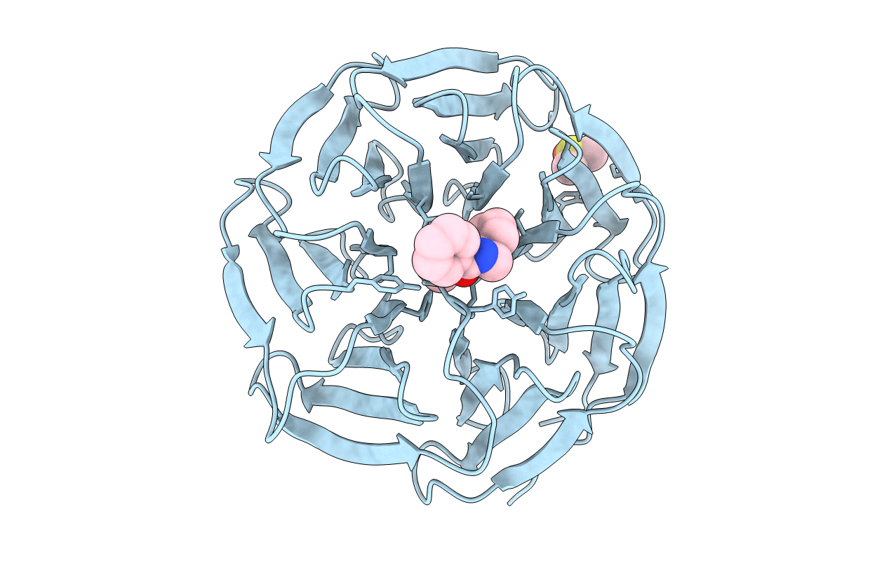 6DAK image