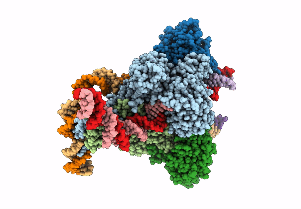 6DBI image