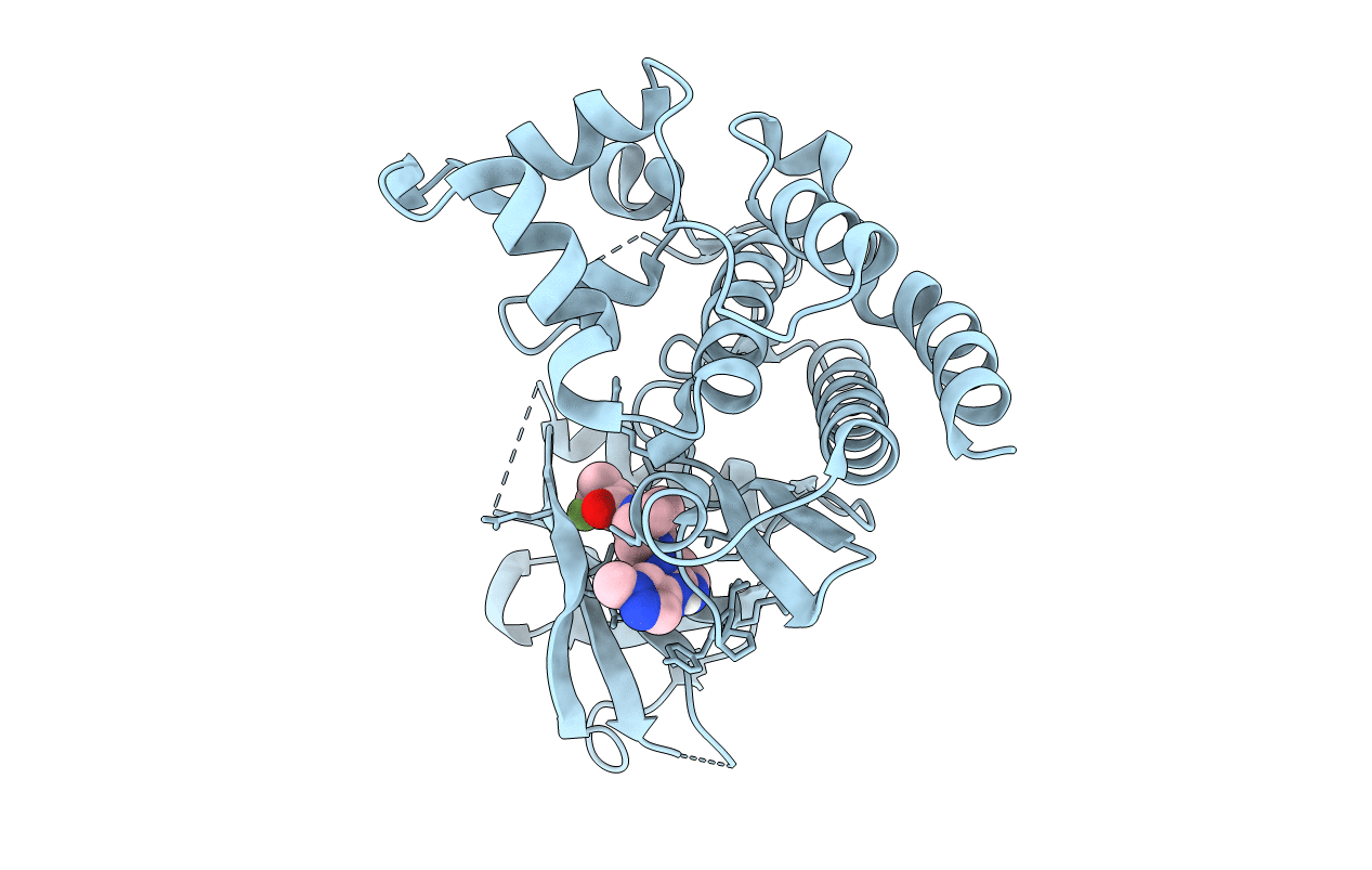 6DBM image