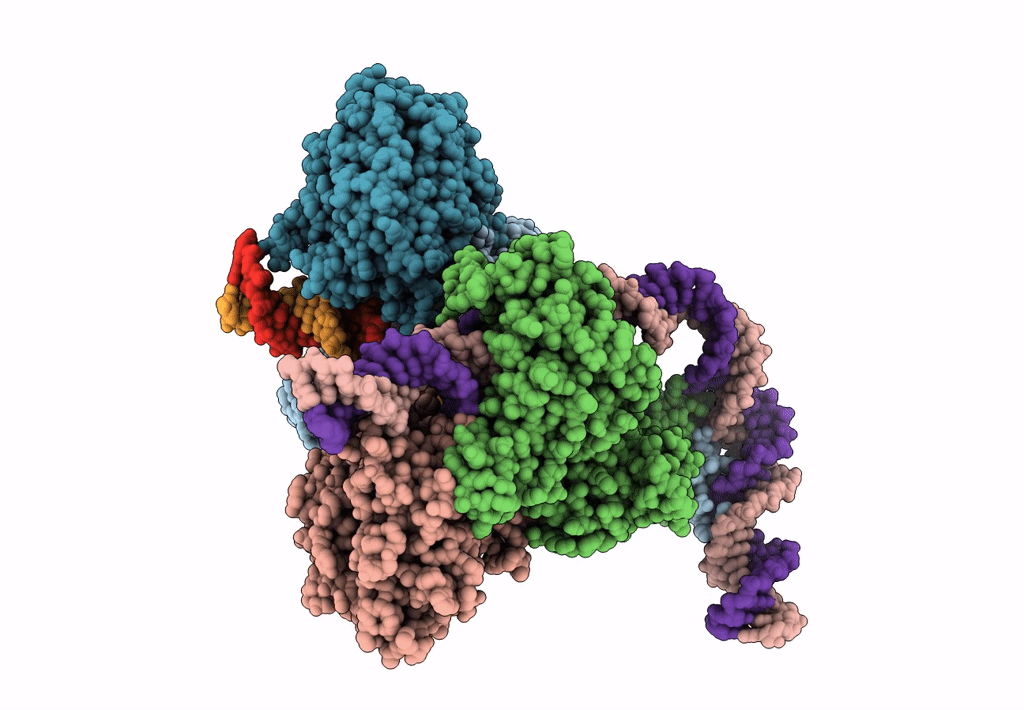 6DBQ image