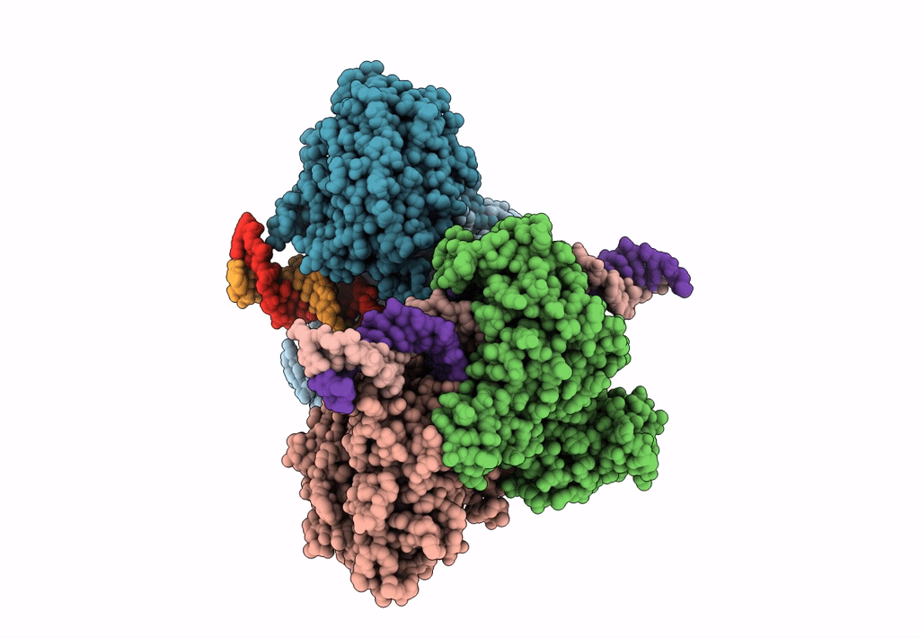 6DBR image