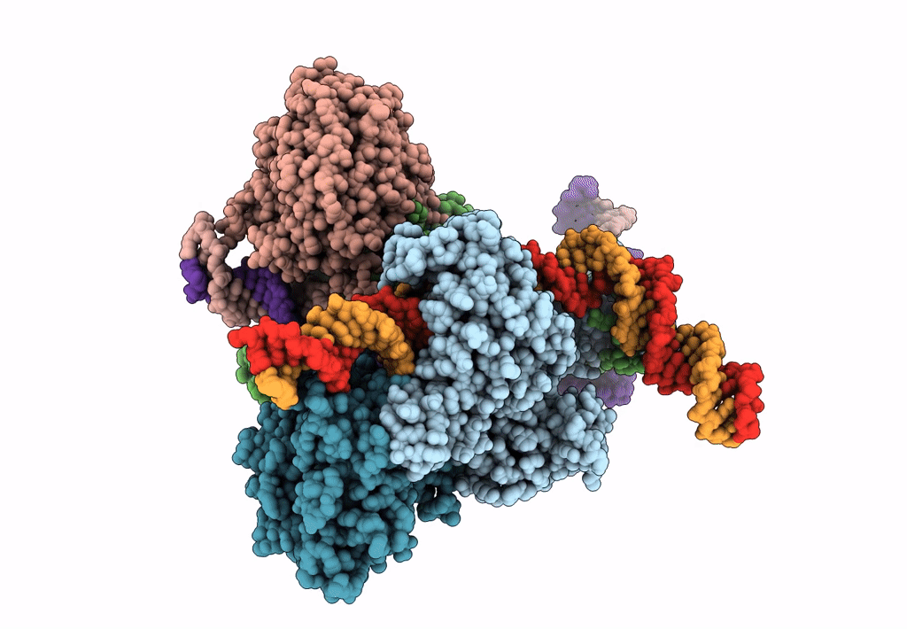 6DBV image
