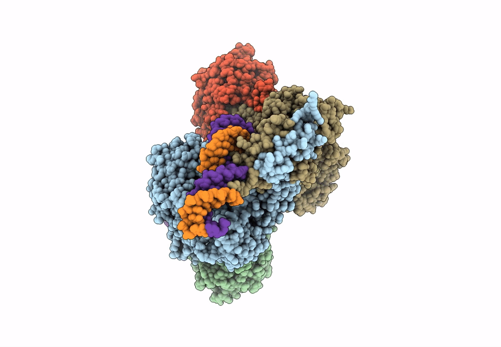 6DBW image