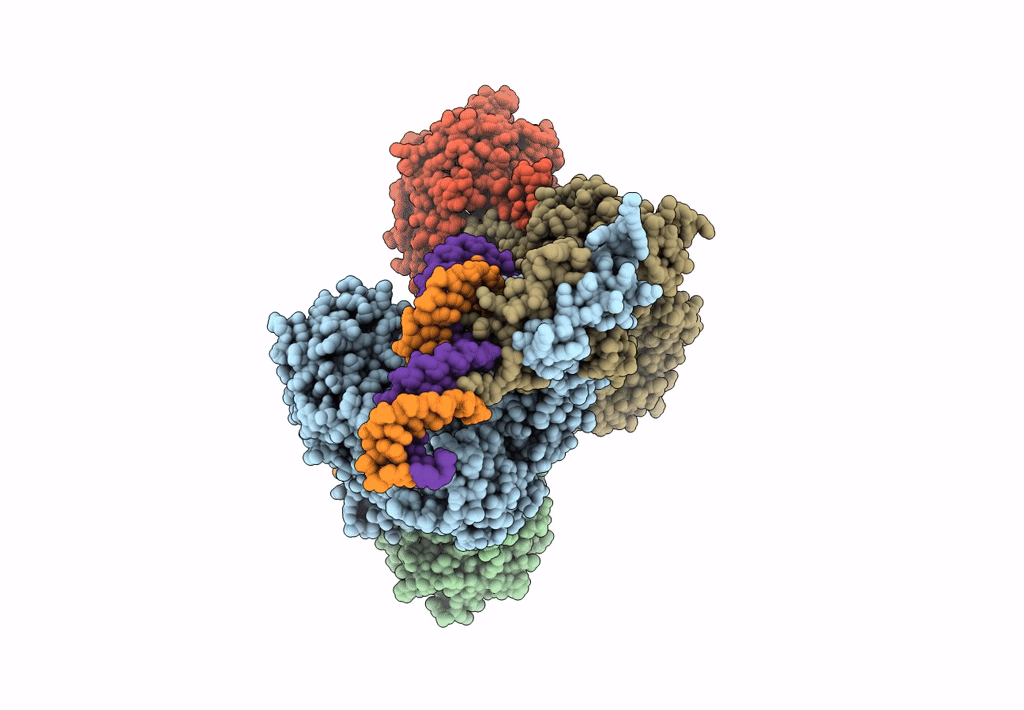 6DBX image