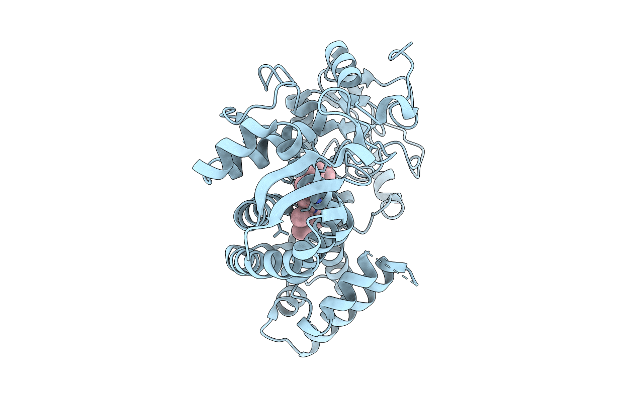 6DCD image