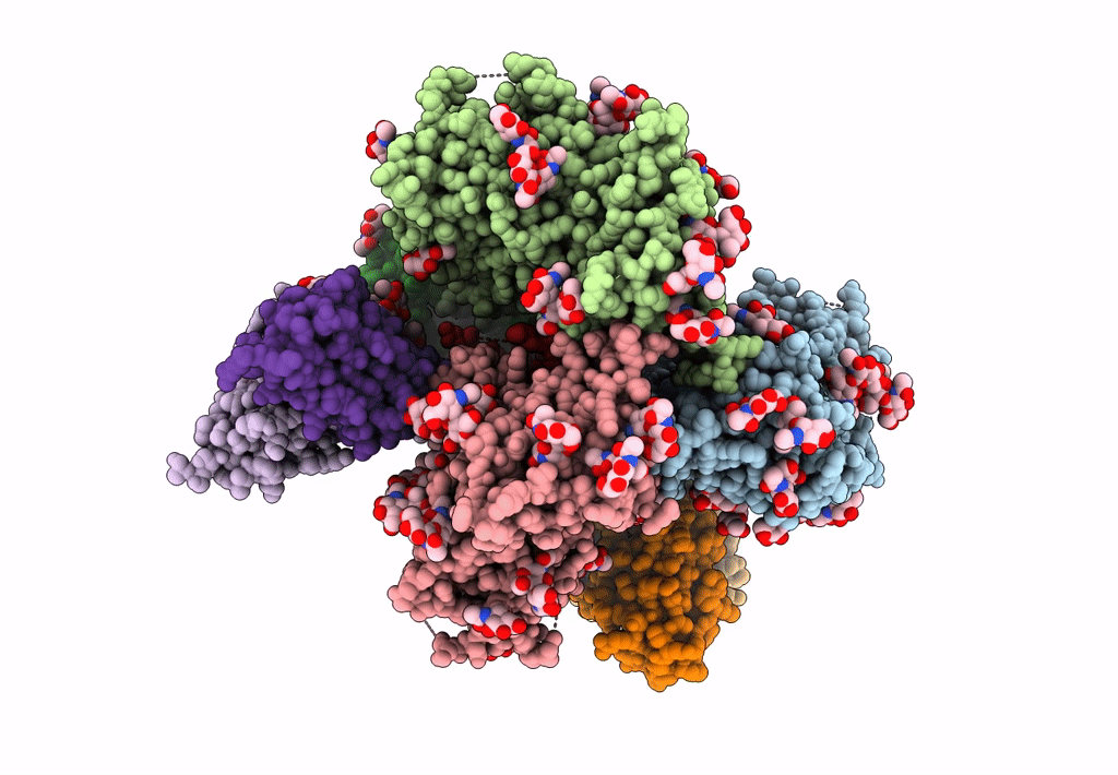 6DCQ image