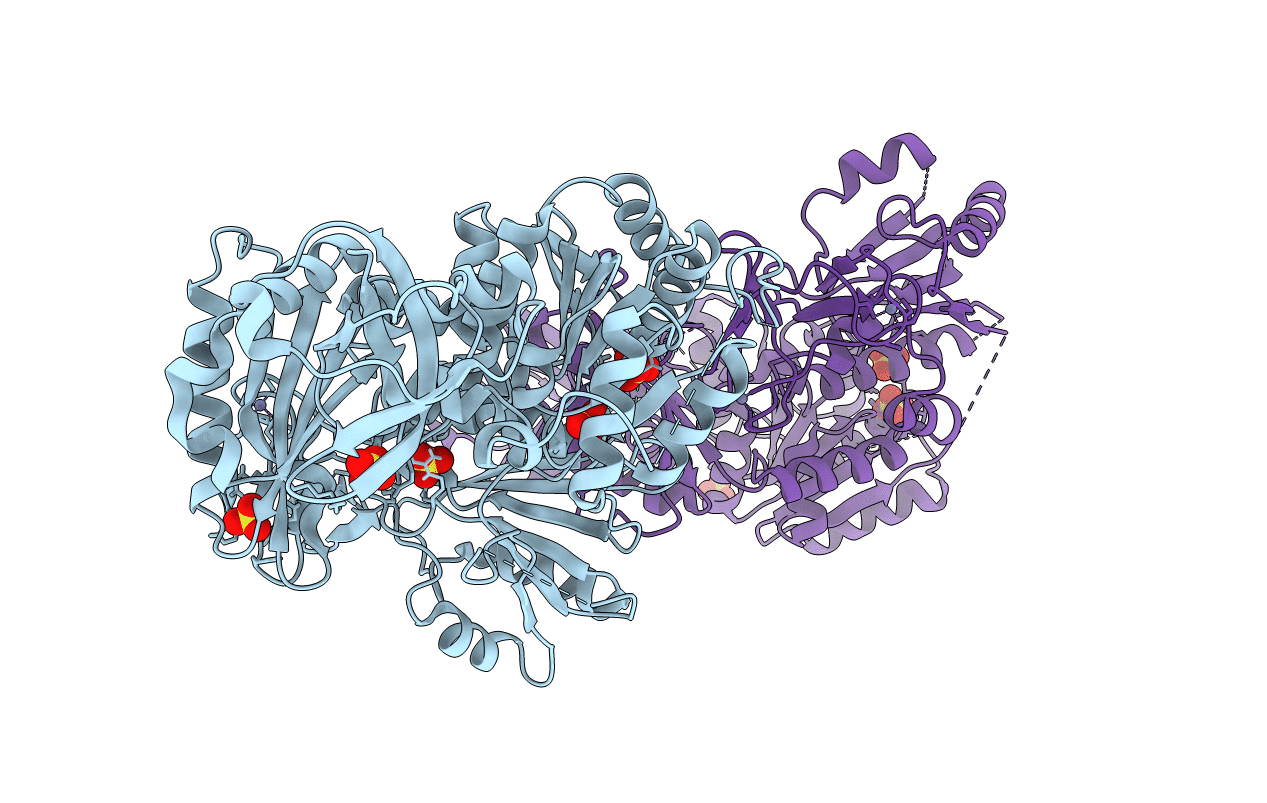 6DCR image