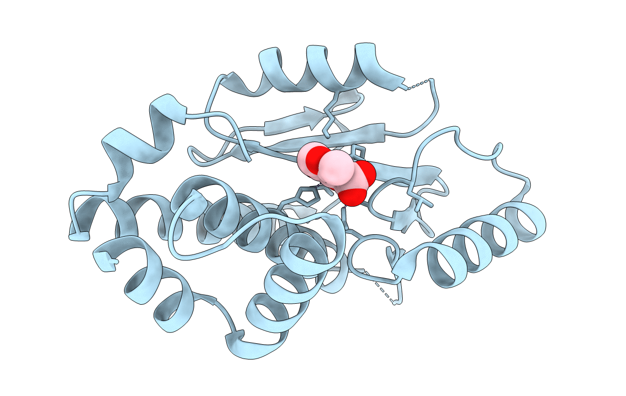 6DCY image