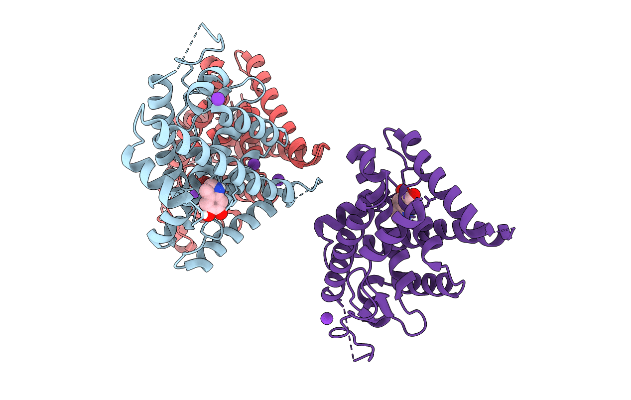 6DDA image