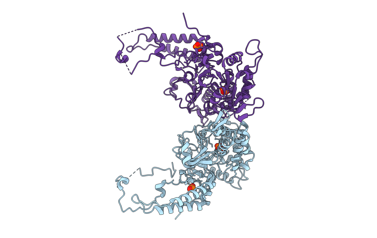 6DDO image