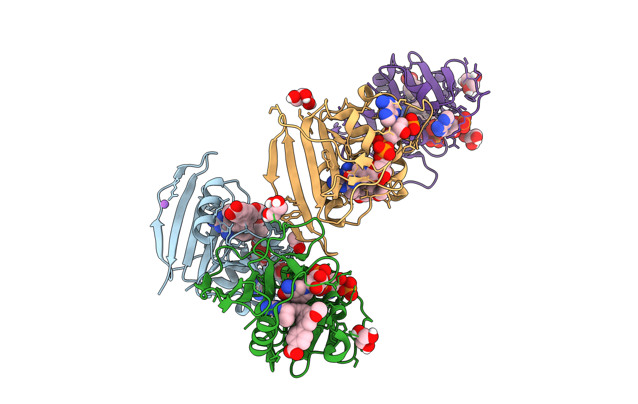 6DDS image