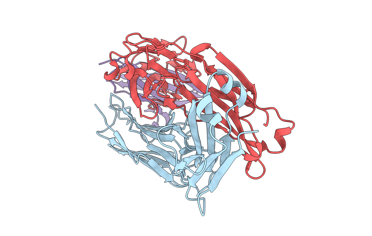 6DDV image