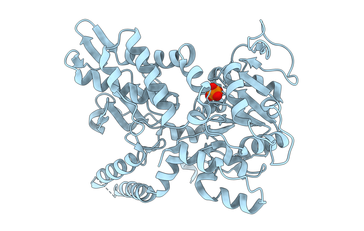 6DDX image
