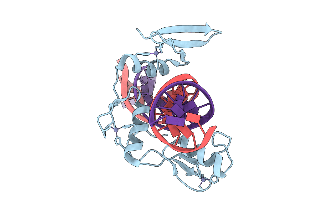 6DFB image