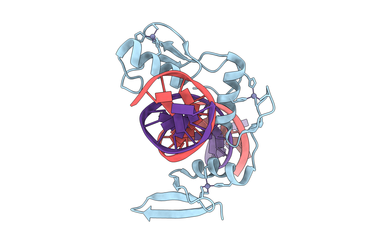 6DFC image