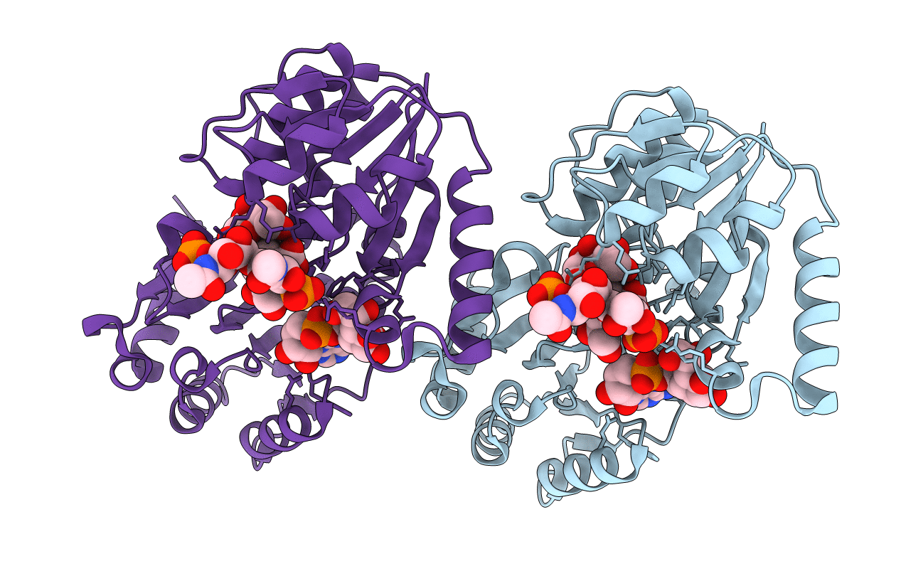 6DFE image