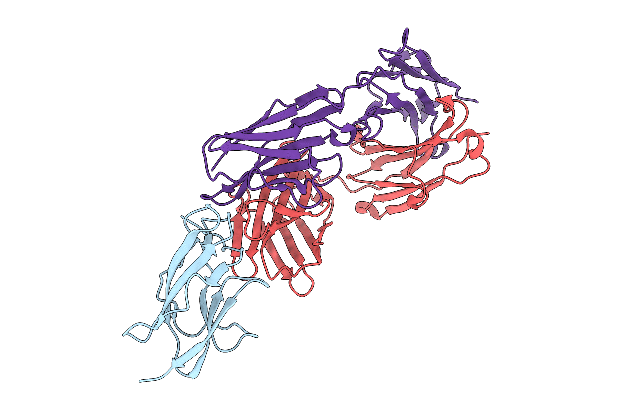 6DFI image