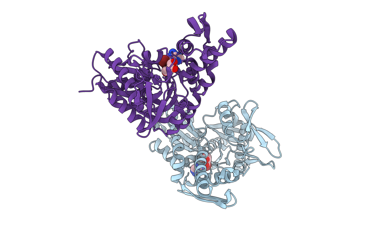 6DFO image