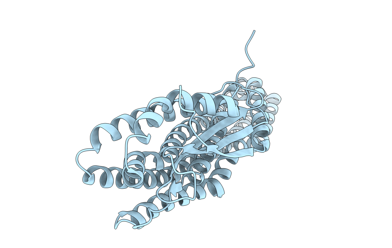 6DFP image