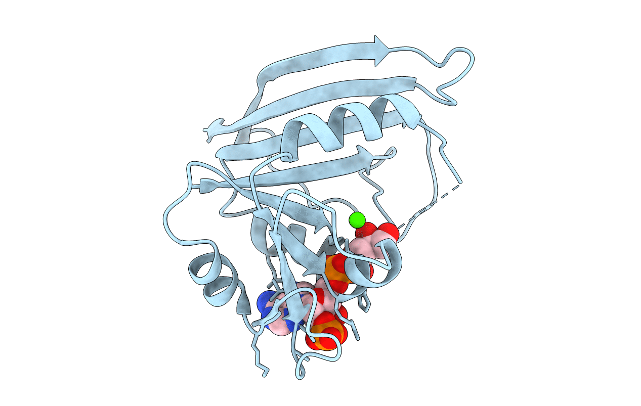 6DFR image