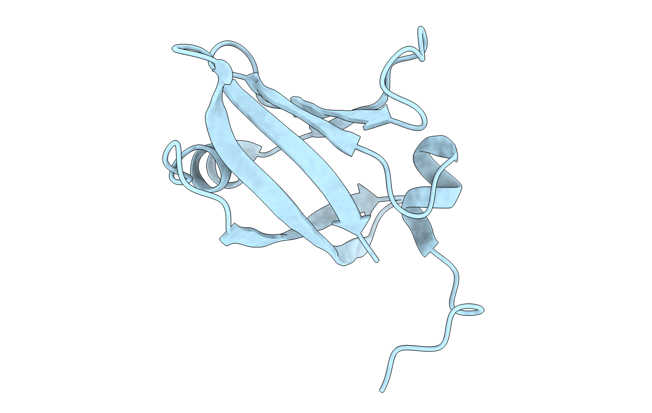 6DGA image