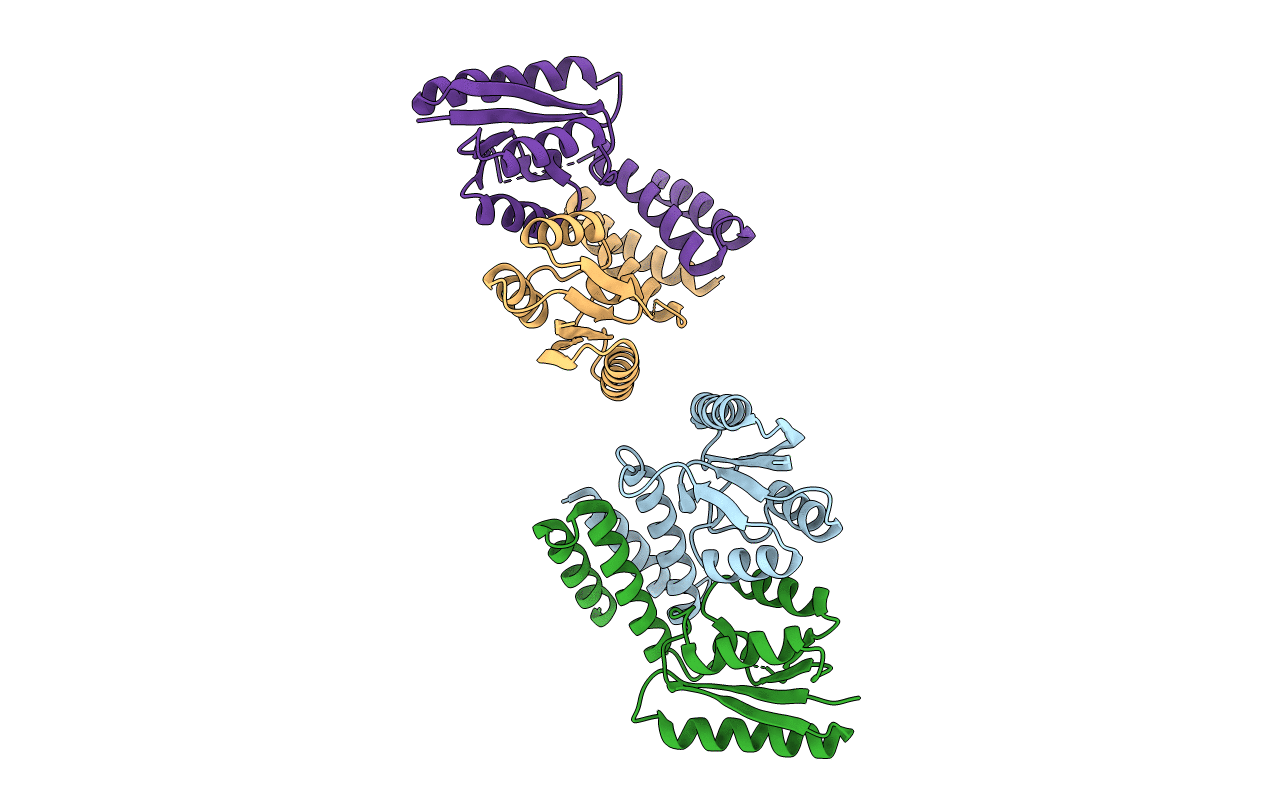 6DGC image