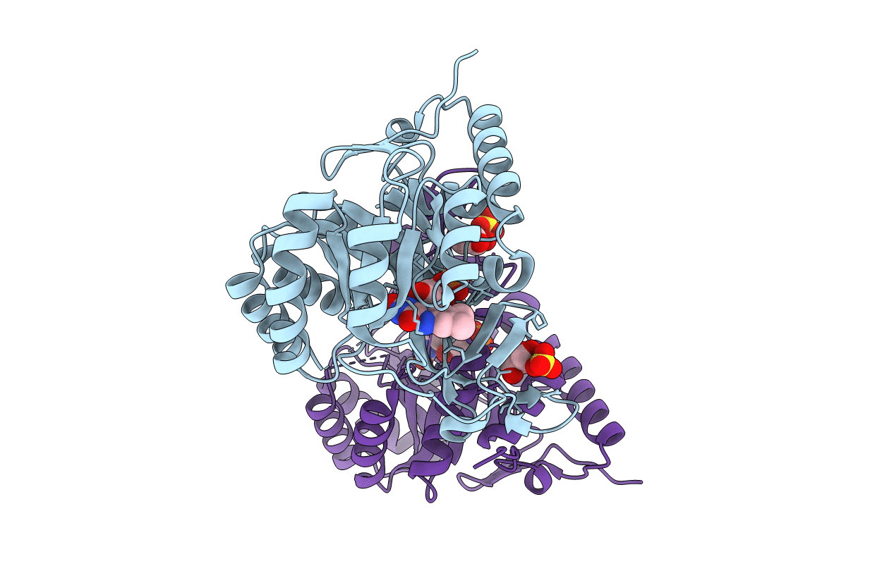 6DGS image
