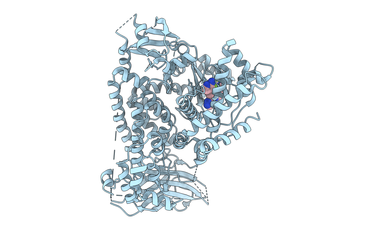 6DGT image