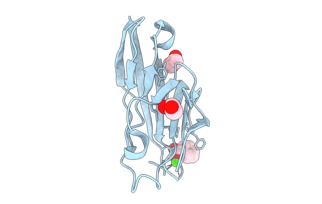 6DHB image
