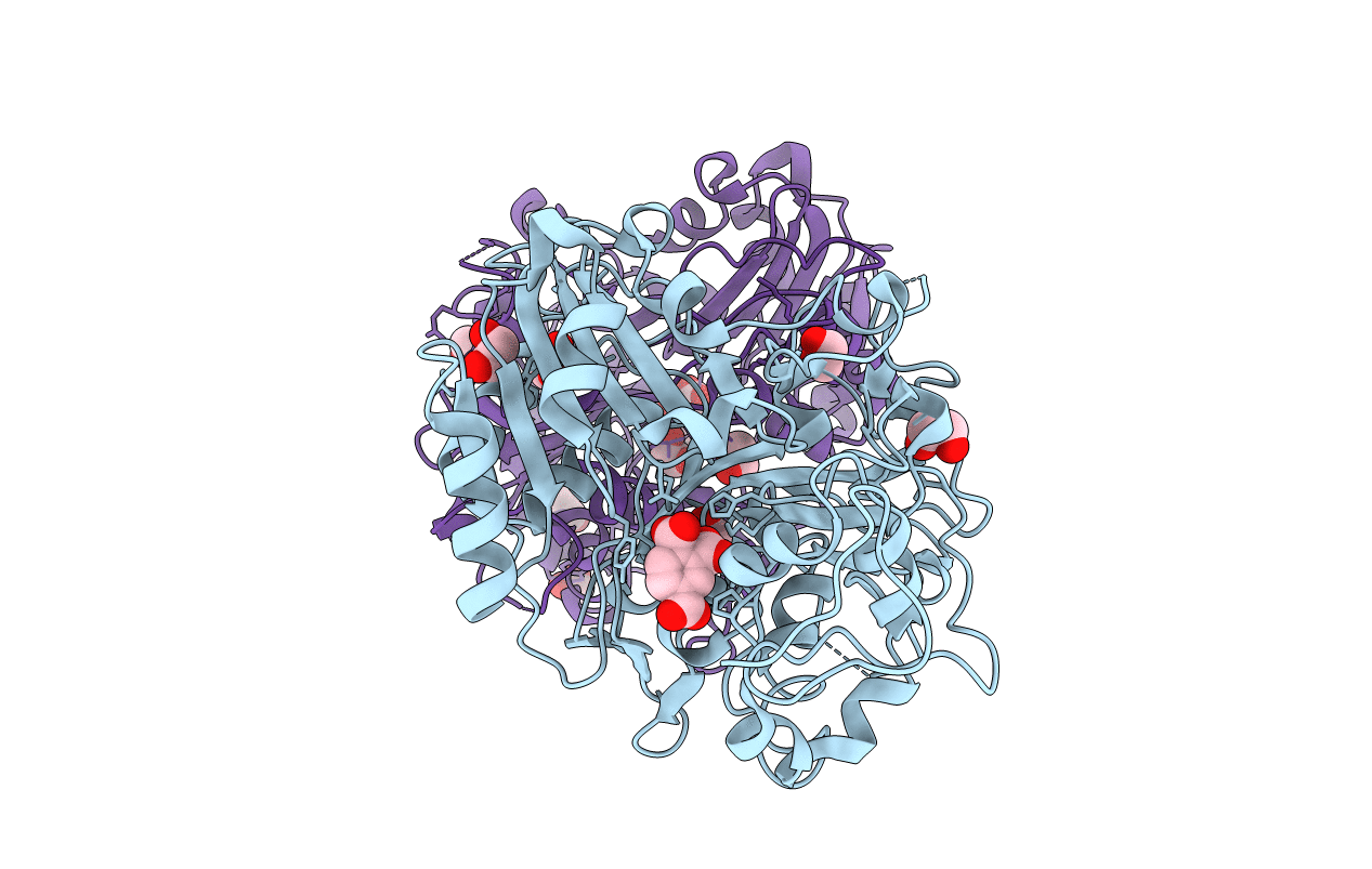 6DHU image