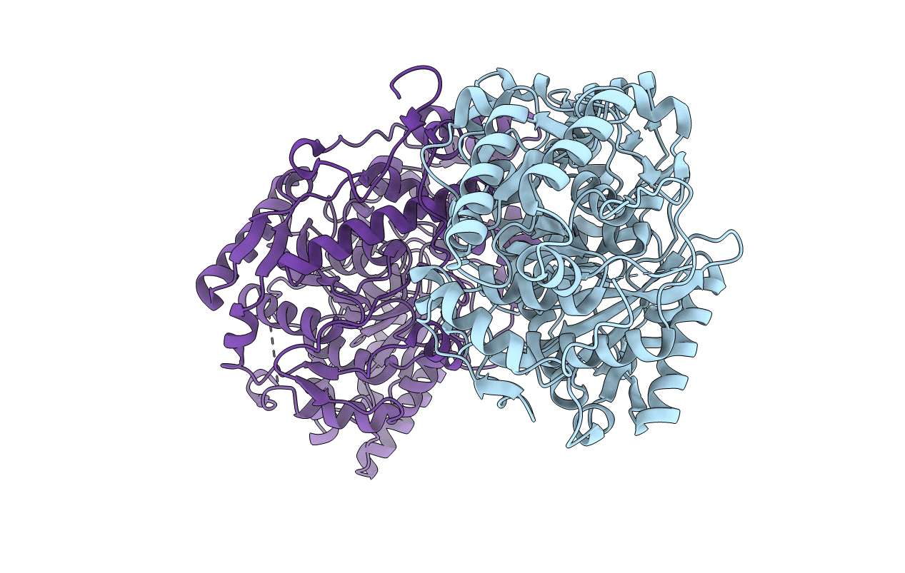 6DHV image