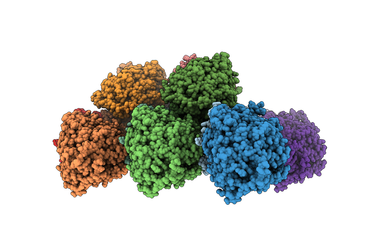 6DII image