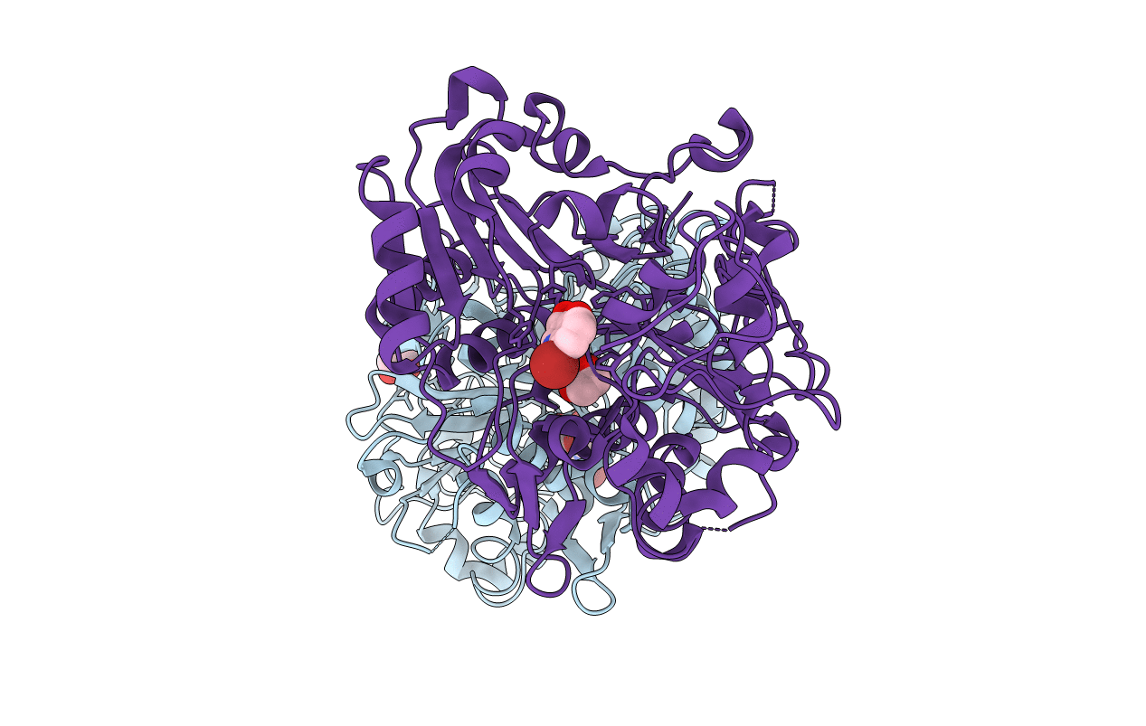 6DJH image