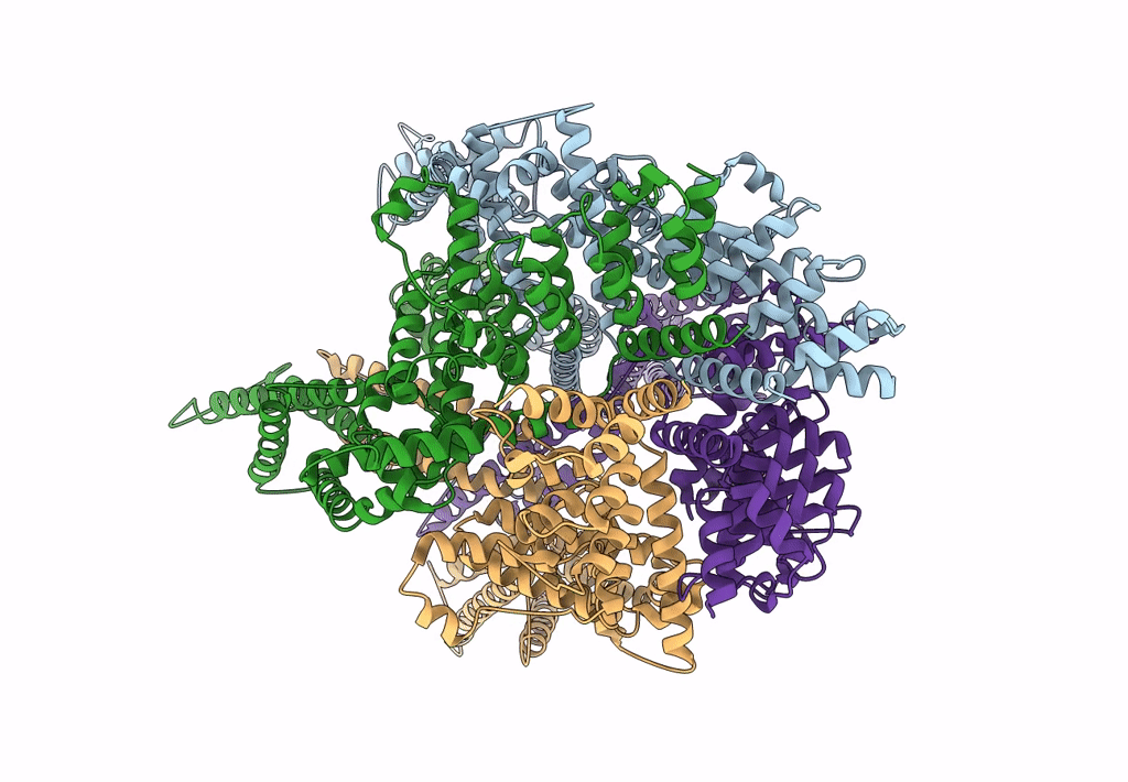 6DJR image
