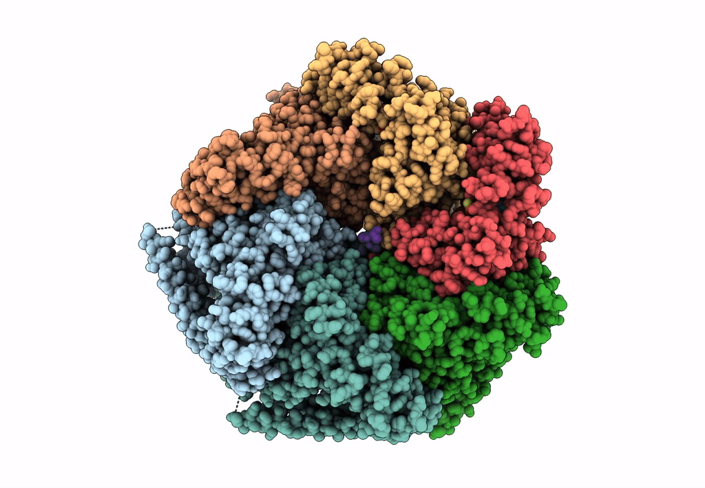 6DJU image