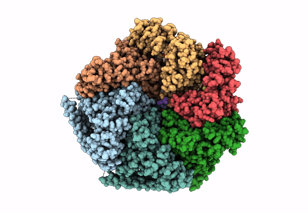 6DJV image