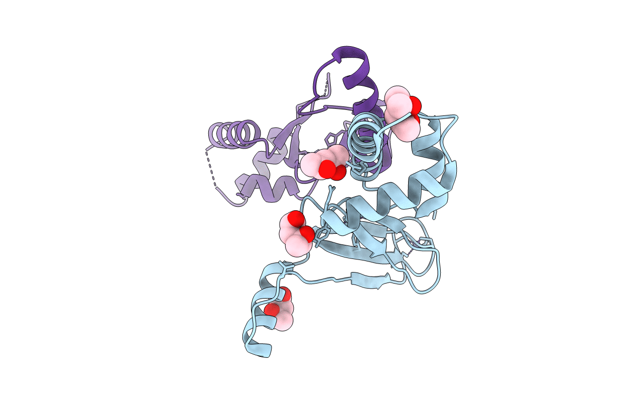 6DK4 image
