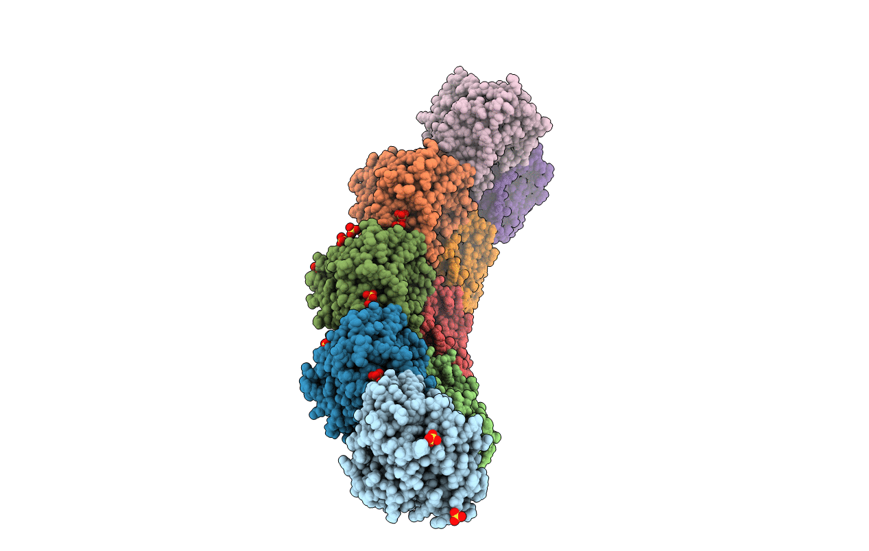6DKD image