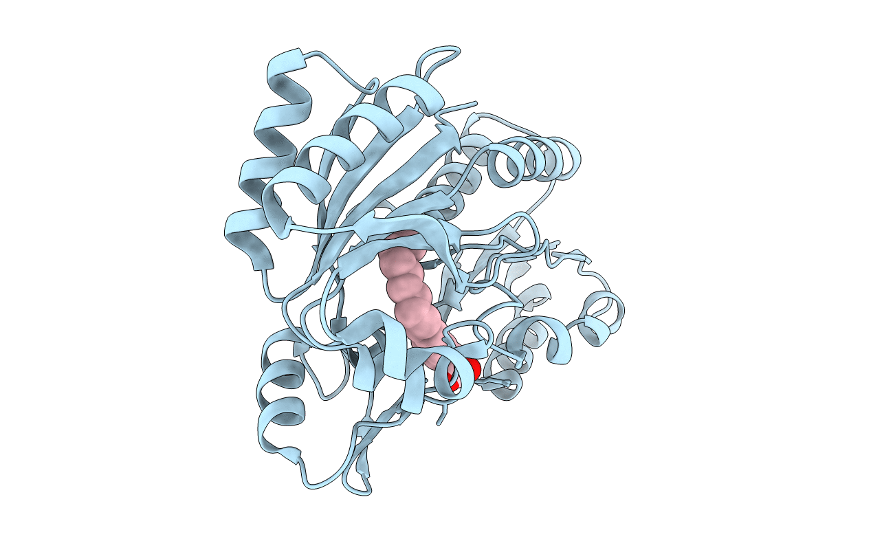 6DKE image
