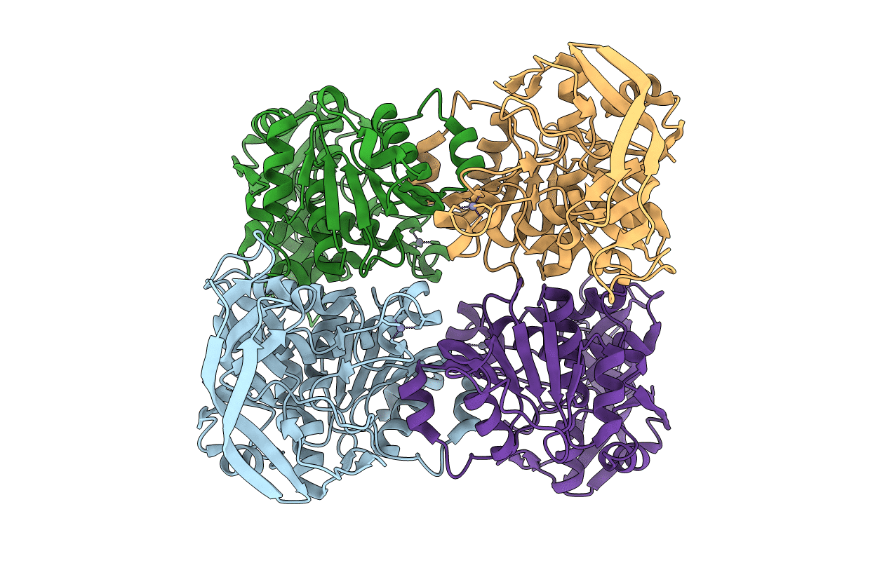 6DKH image